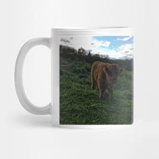 Scottish Highland Cattle Calf 1806 Mug